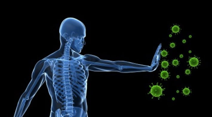 virus